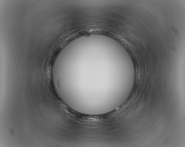 X0000113600475200909181113