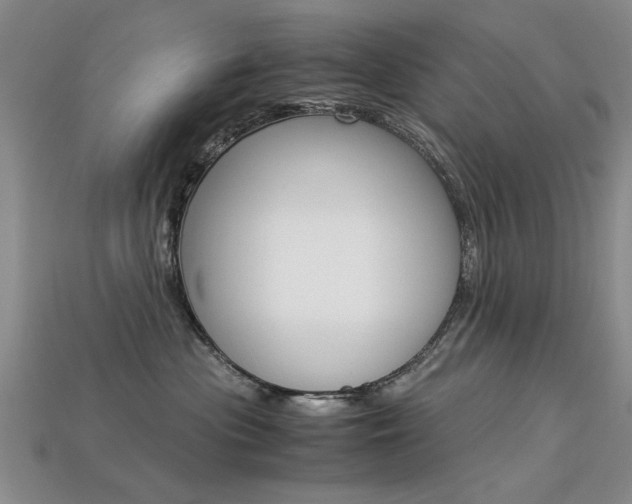 X0000113600477200909181113