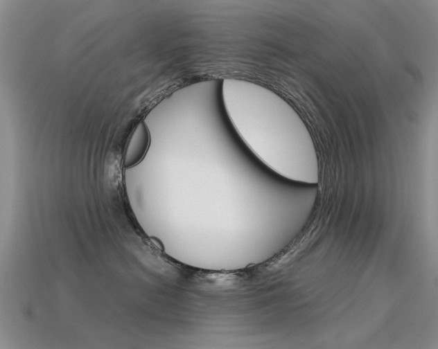 X0000113600478200909181113