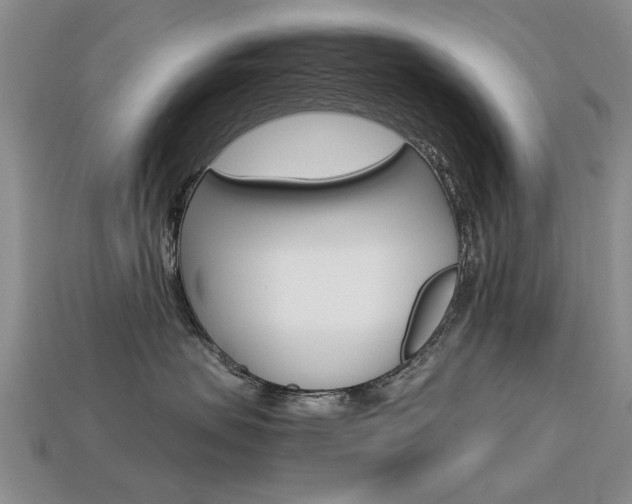 X0000113600479200909181113