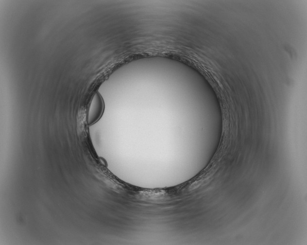 X0000113600480200909181113