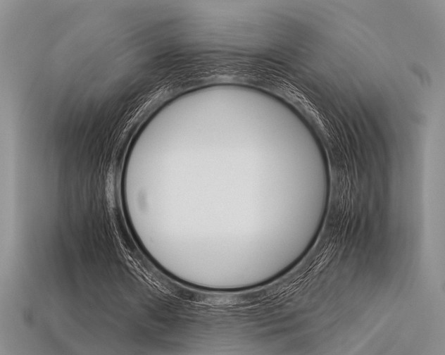 X0000113600482200909181112