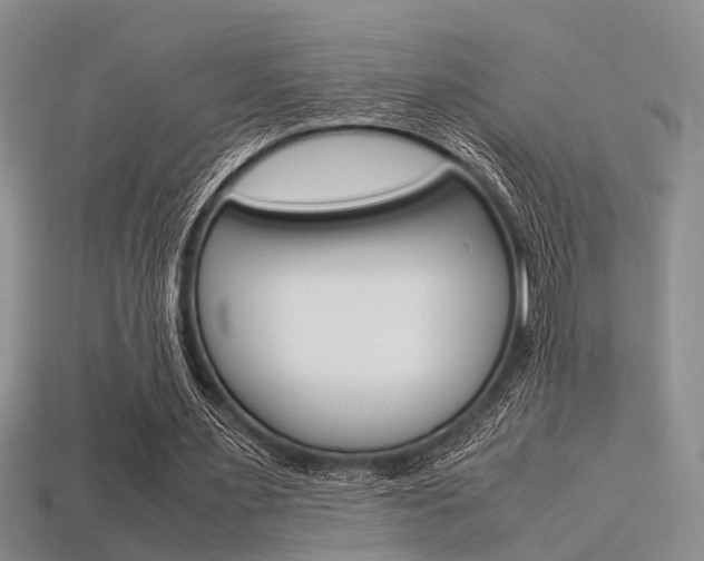 X0000113600483200909181112