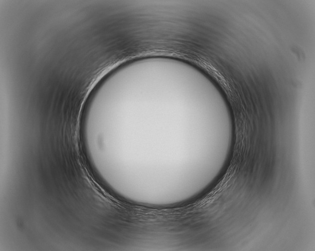 X0000113600484200909181112