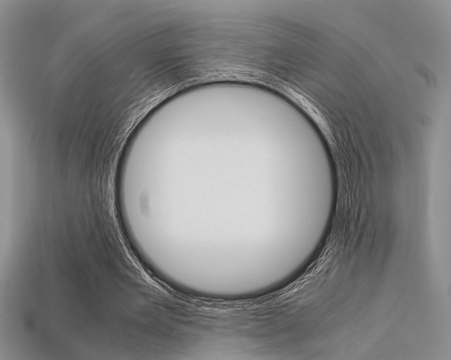 X0000113600485200909181112