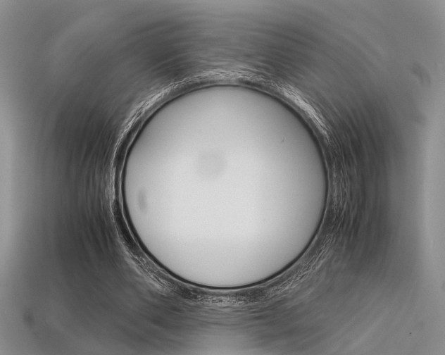 X0000113600486200909181112