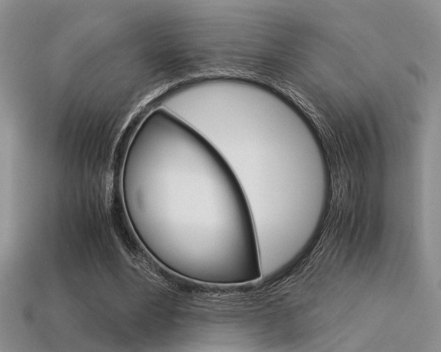 X0000113600488200909181112