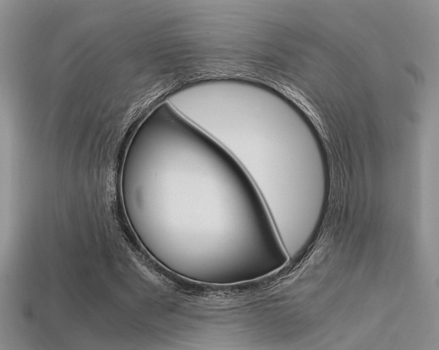 X0000113600489200909181112