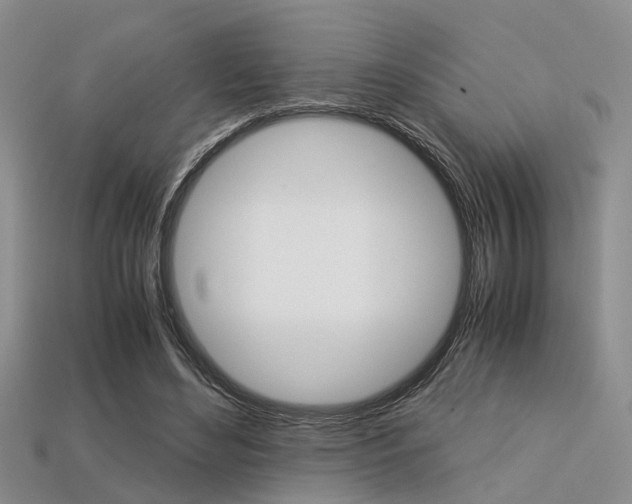 X0000113600492200909181112