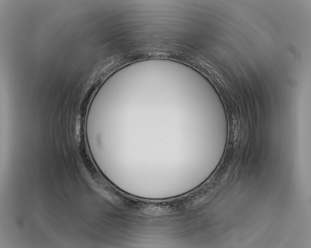 X0000113600494200909181112