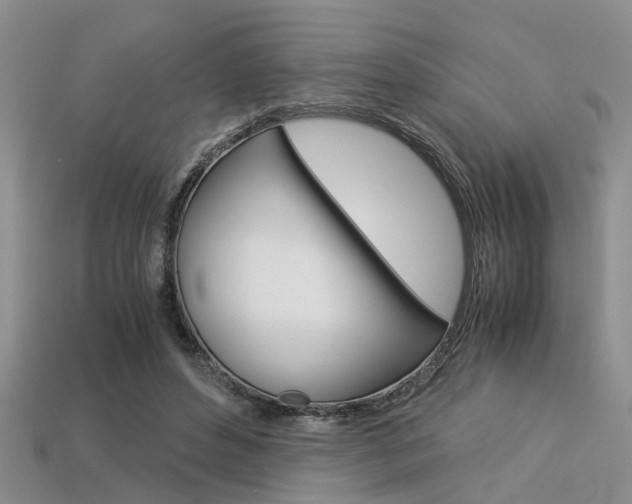 X0000113600496200909181112