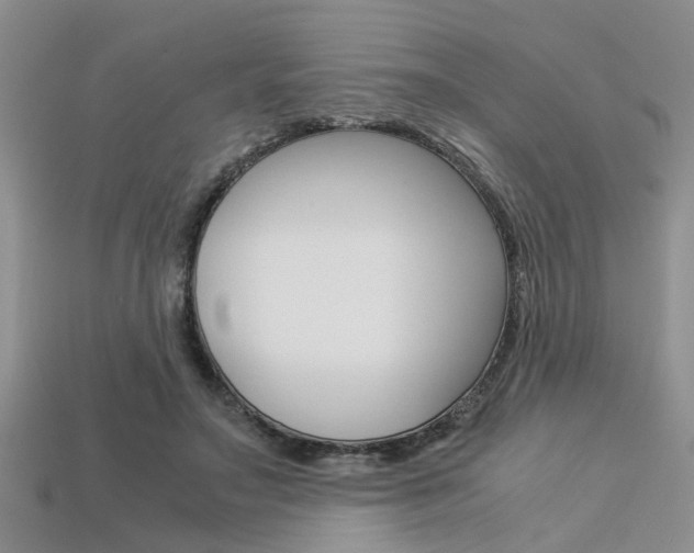 X0000113600499200909181112