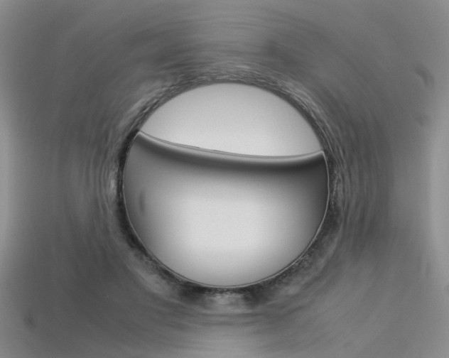 X0000113600501200909181112