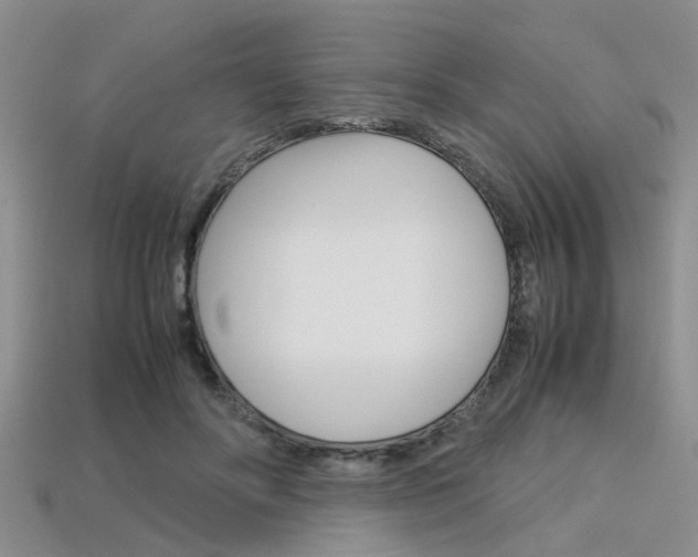 X0000113600502200909181112