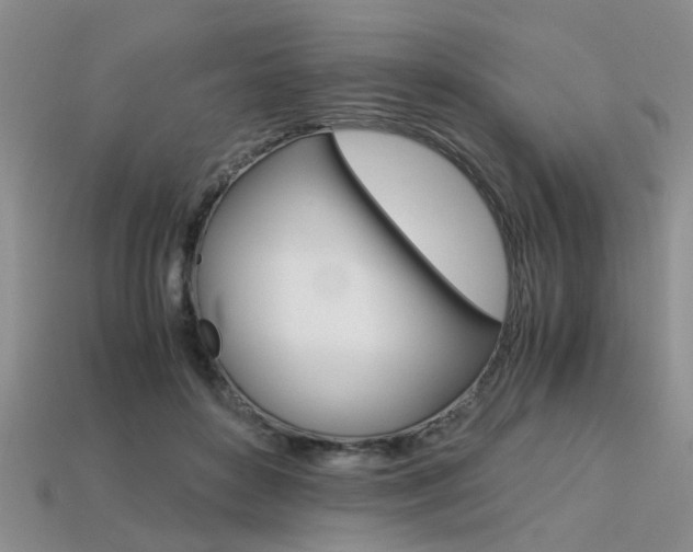 X0000113600504200909181112