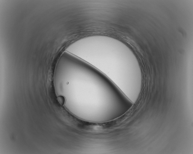 X0000113600509200909181112