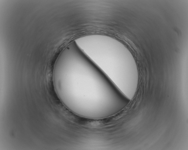 X0000113600513200909181112