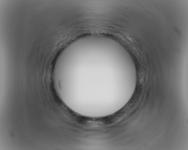 X0000113600515200909181112