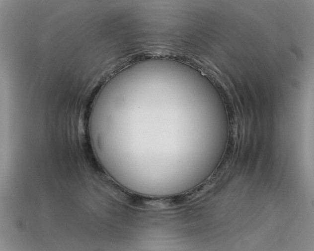 X0000113600516200909181112