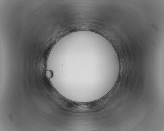 X0000113600518200909181112