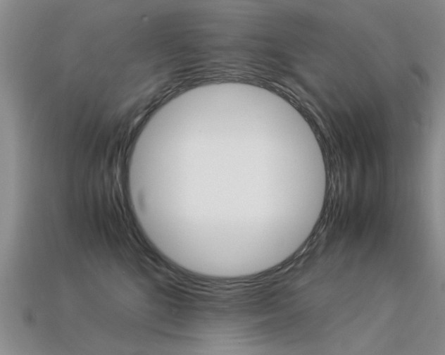 X0000113600520200909181112