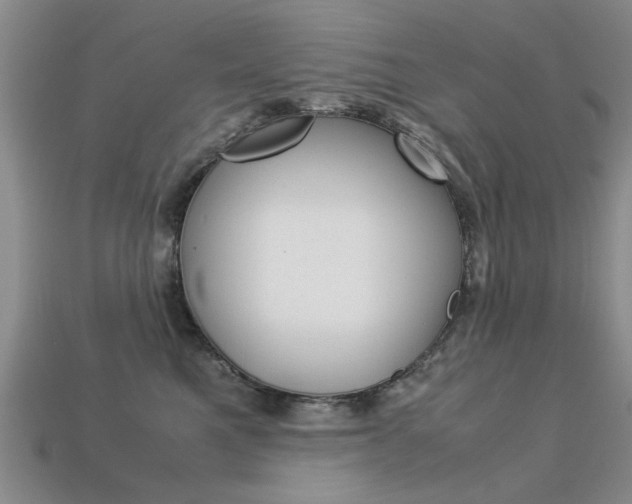 X0000113600521200909181112