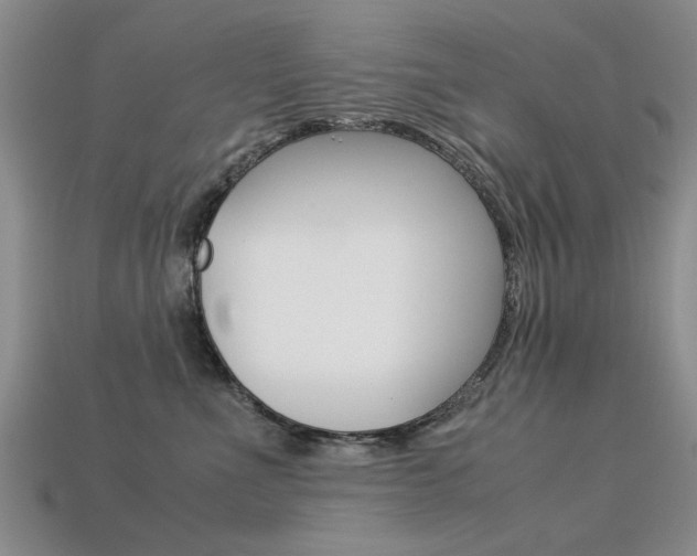 X0000113600523200909181112