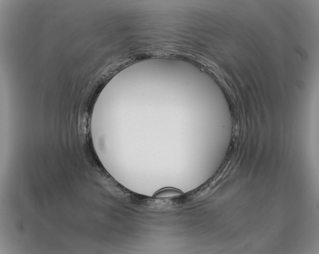X0000113600525200909181112