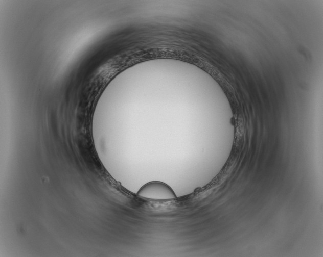 X0000113600526200909181112