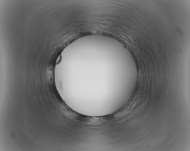X0000113600527200909181112
