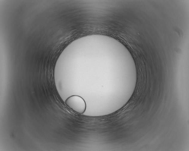 X0000113600528200909181112