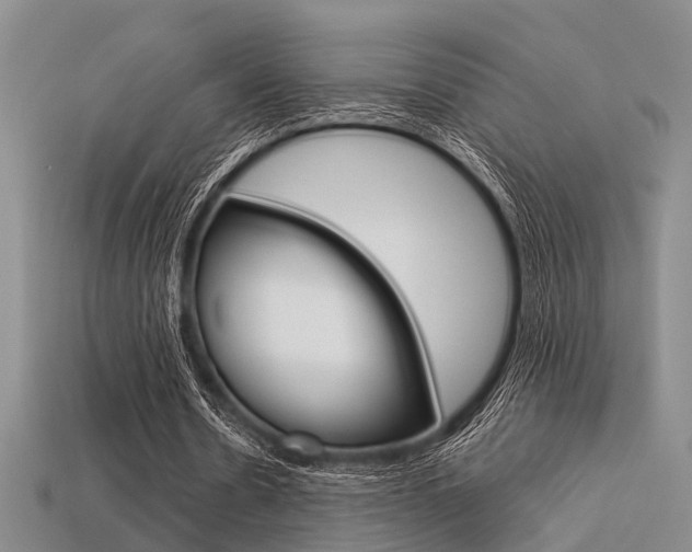 X0000113600530200909181111