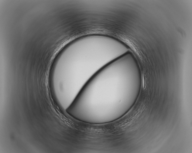 X0000113600531200909181111
