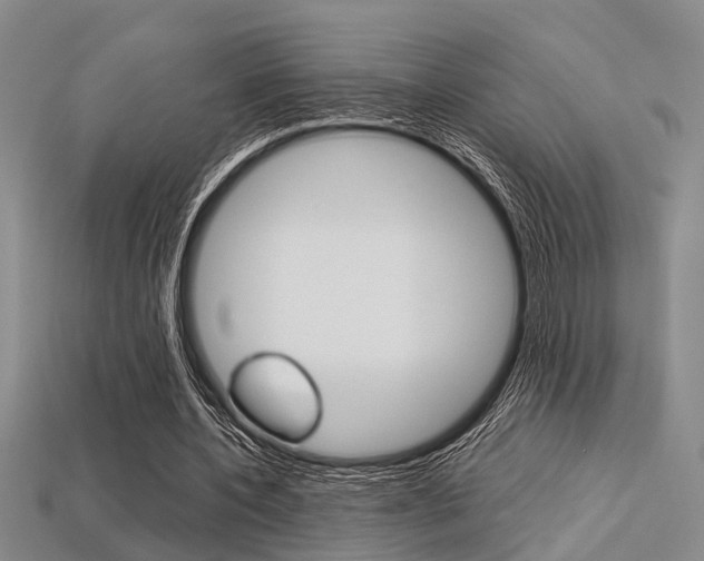 X0000113600532200909181111