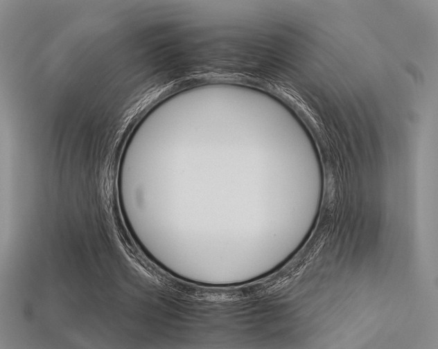 X0000113600533200909181111