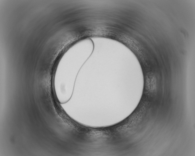 X0000113600534200909181111