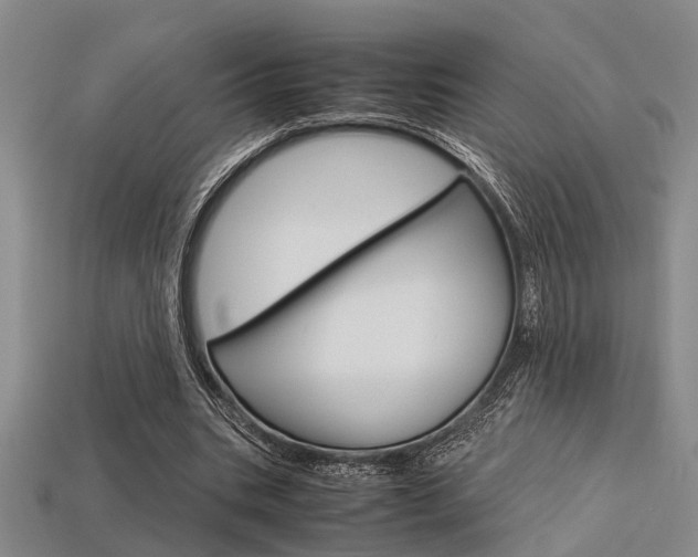 X0000113600535200909181111