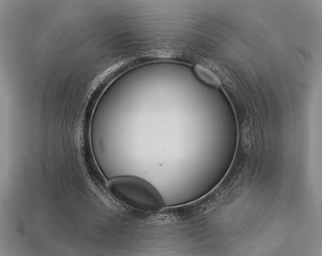 X0000113600536200909181111