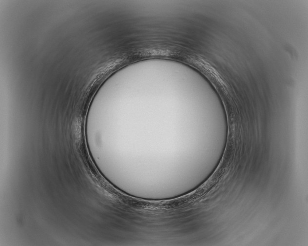 X0000113600537200909181111
