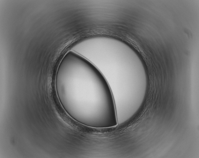 X0000113600538200909181111