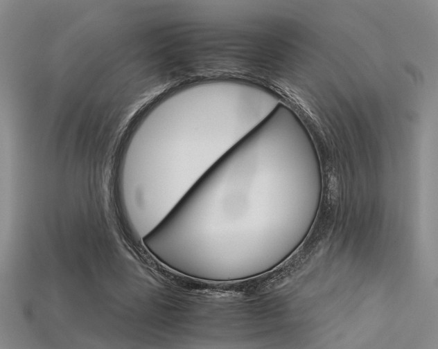 X0000113600539200909181111
