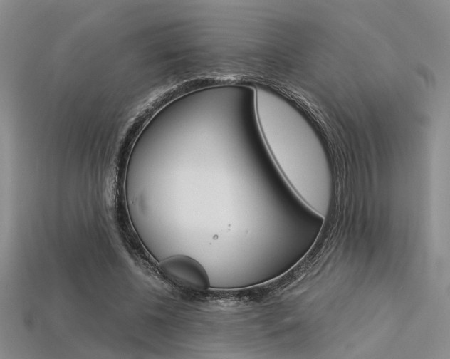 X0000113600540200909181111