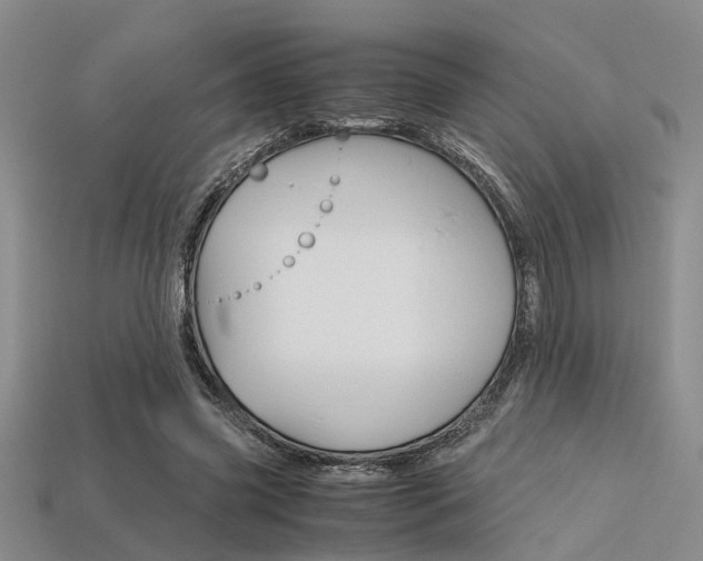 X0000113600541200909181111