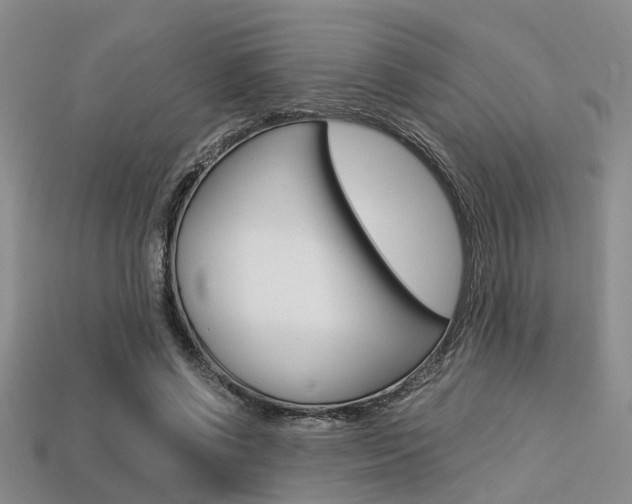 X0000113600542200909181111
