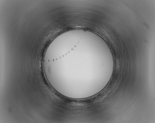 X0000113600545200909181111