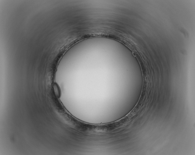 X0000113600546200909181111