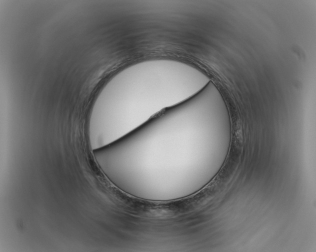 X0000113600547200909181111