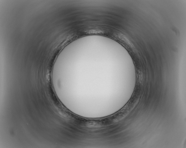 X0000113600549200909181111