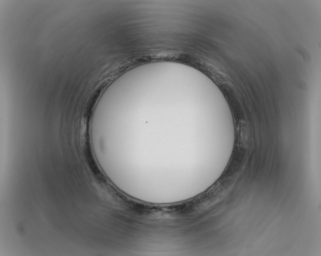 X0000113600550200909181111