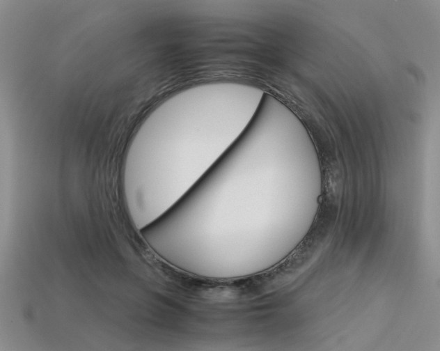 X0000113600551200909181111